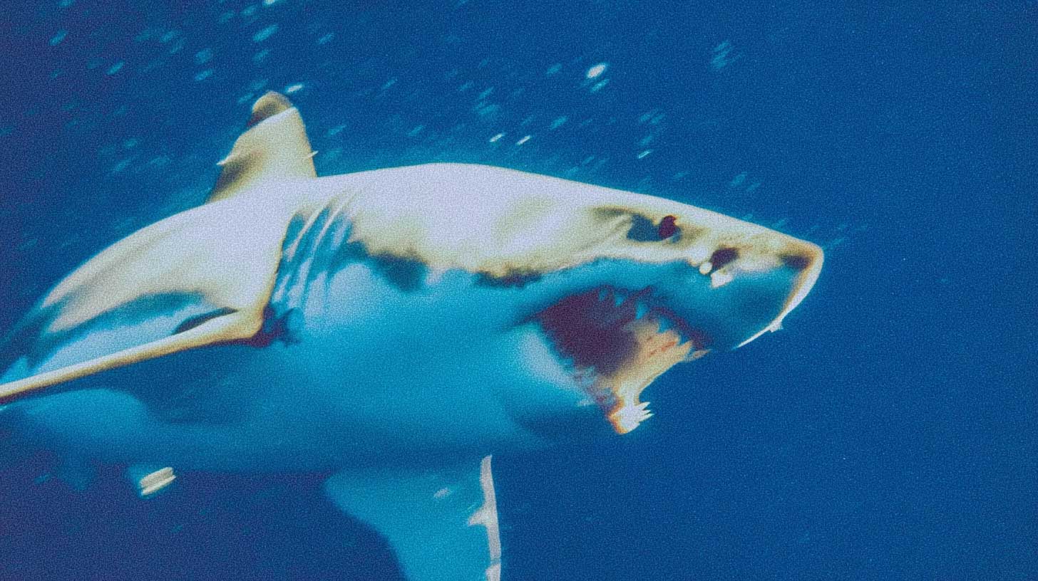 The Science Behind Habit Formation