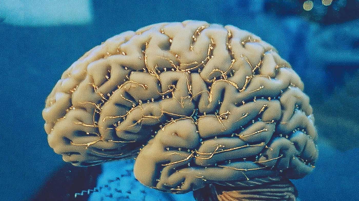 How to Rewire Your Identity Through Small Wins